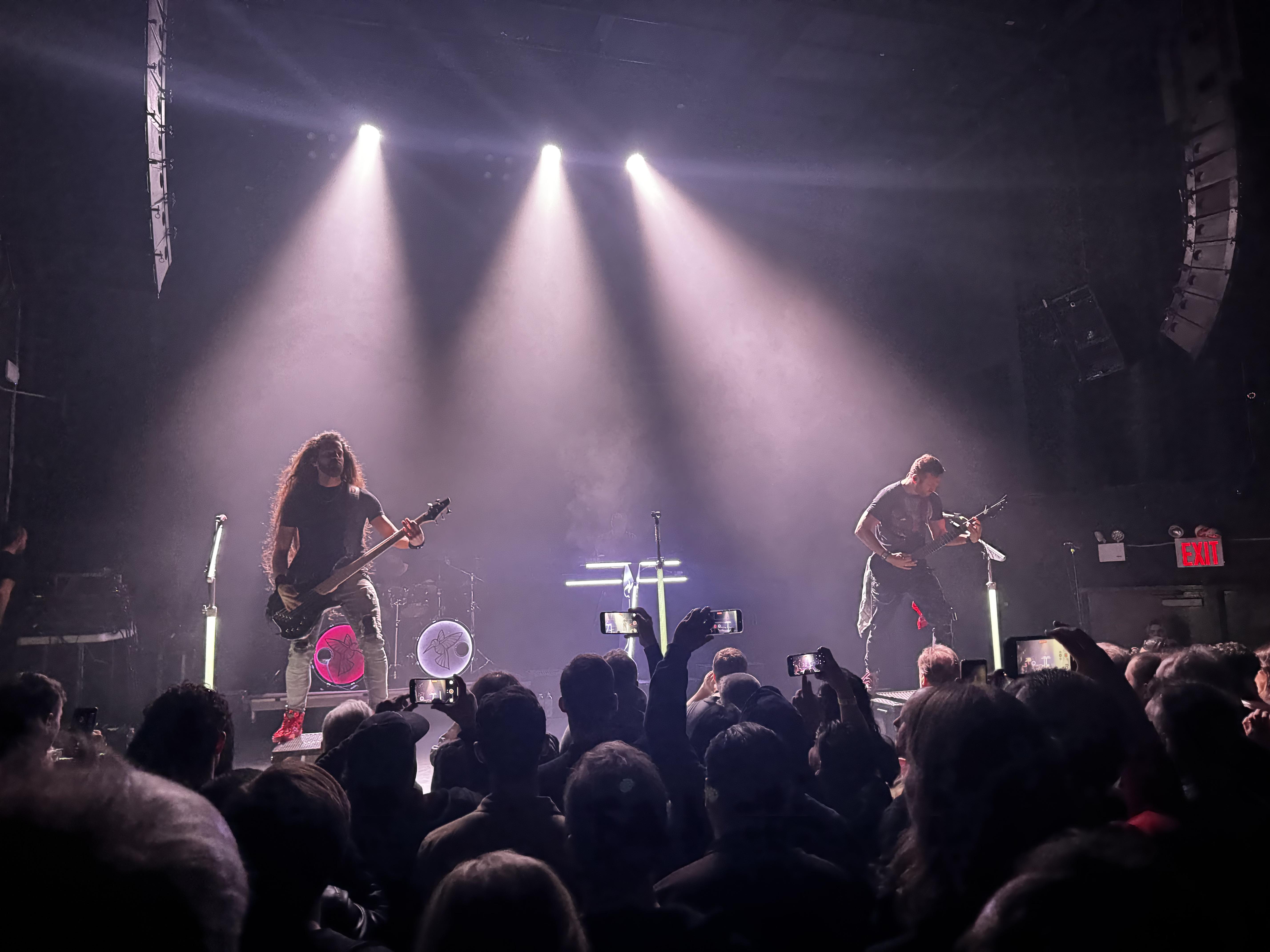 Delain photo